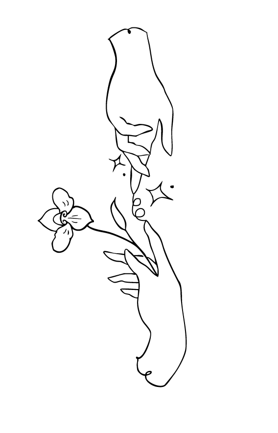 MANOS